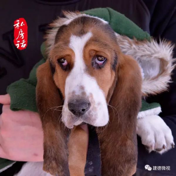 ˽�����������ڽ������С������һĻĻ,�������˶���Ĭ�ˡ�w5.jpg