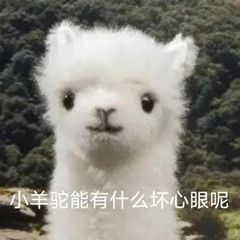 ǧ������ʦ��ƴ��Ц����,��Ȼ���䵽�ڿ㶼��ʣ!w38.jpg