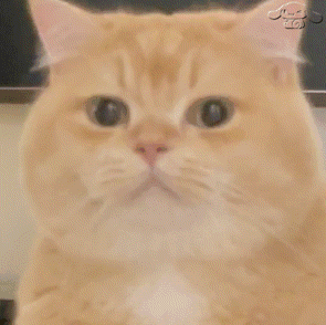ɳ���Ц�����:��û�°�?w12.jpg