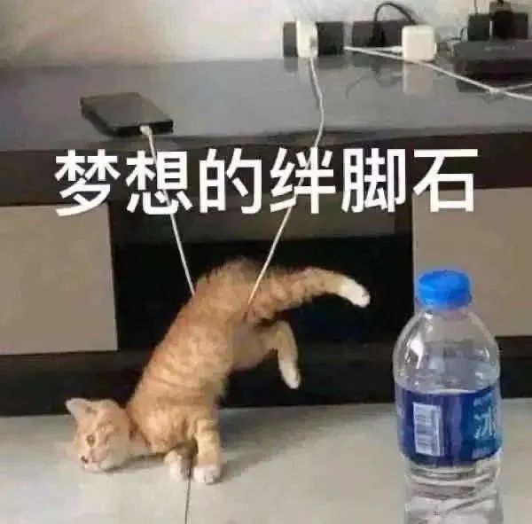 �����ح��Ц��С��è�����w12.jpg