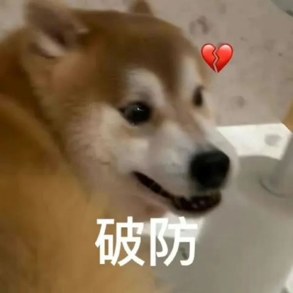 �����ح��Ц��С��è�����w15.jpg