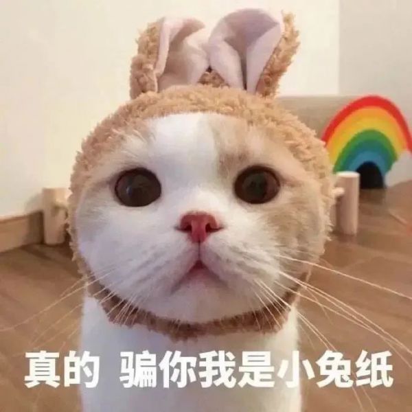 ��Ц�����|���㷢�w8.jpg
