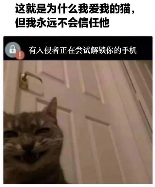 ��Ц�����|���㷢�w13.jpg